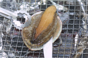 �A���r�͎h�g���y���t��̂�������