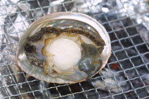 ����ʂ̔�����������