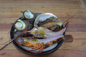 ��K�̃C�P�X���玝���Ă��܂����B