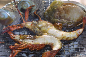 �ɐ��G�r�A���r�T�U�G�̒Y�ΏĂ�