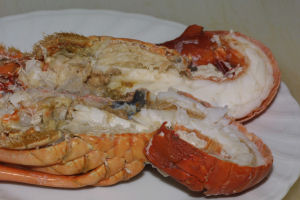 䥂ňɐ��G�r�̔�����