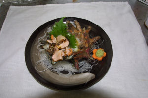 �h�f�J�T�U�G�̂��h�g