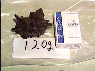 �T�U�G�P�Q�O��