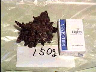 �T�U�G�P�T�O��