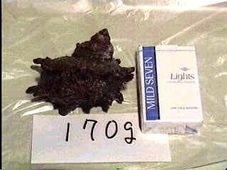 �T�U�G�P�V�O��