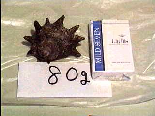 �T�U�G�W�O��